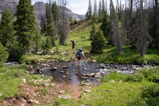 Two hikers crossing a stream surrounded by lush forest and mountains.